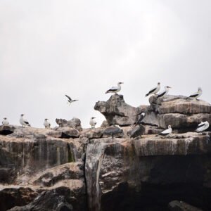 Galapa-go-tour_5.jpg