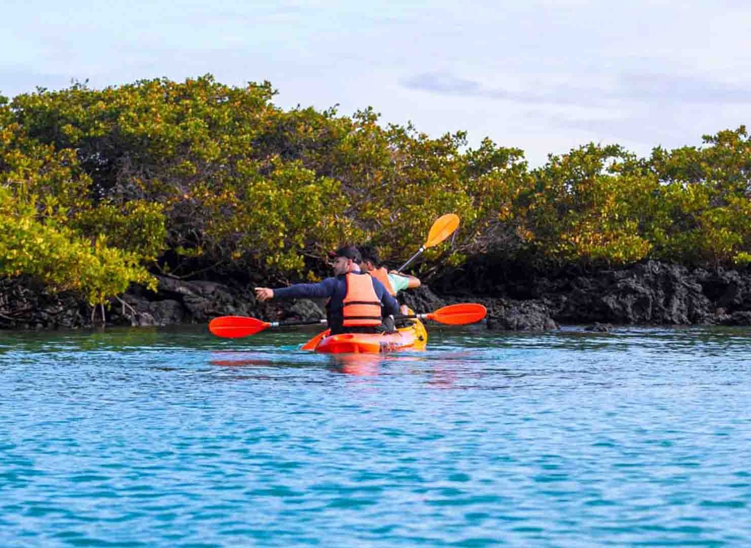 KAYAK-IS-SC-7.jpg