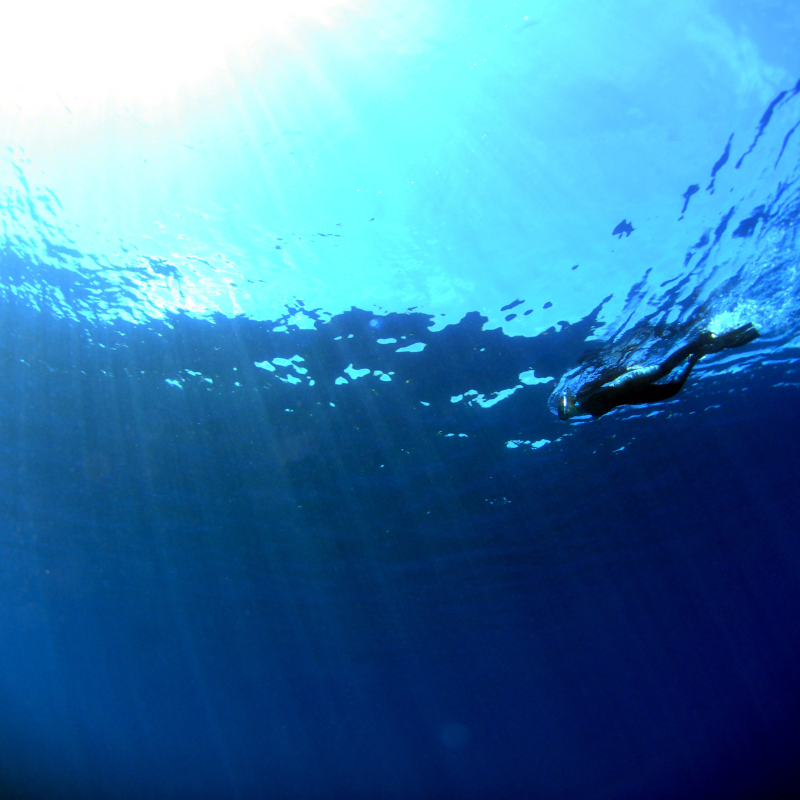 gallery BUCEO SEUMOUR NORTE (2)