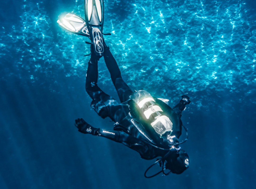 gallery BUCEO DAPHNE MENOR