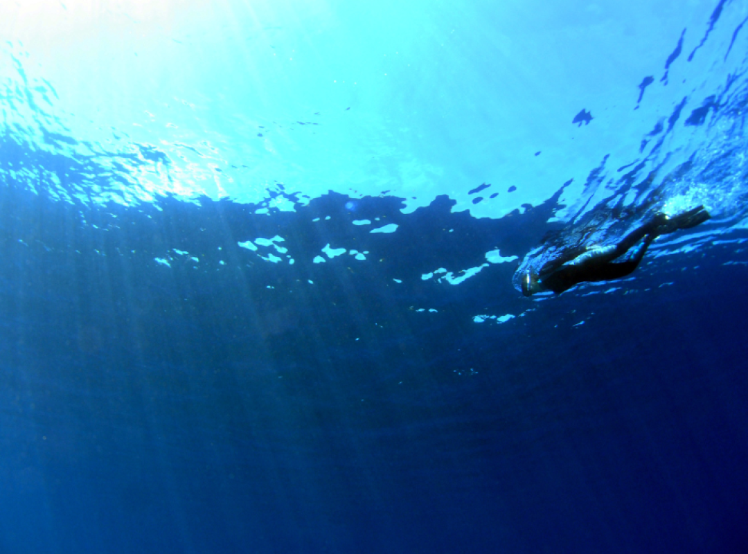 gallery BUCEO SEUMOUR NORTE (2)