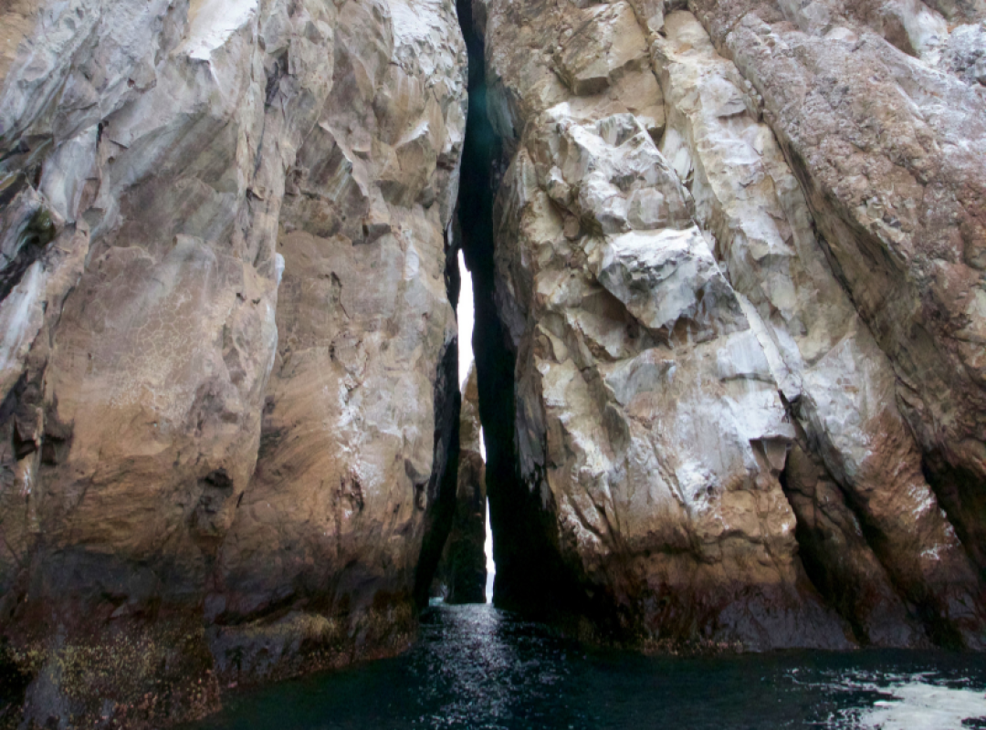 kicker rock scuba leon (4)
